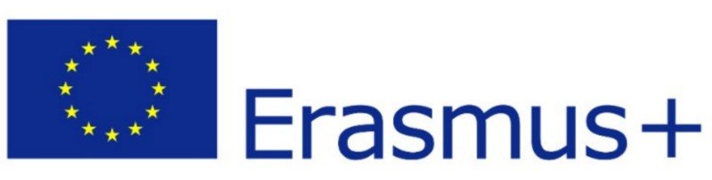 Erasmus+ Logo Wholesome Living 